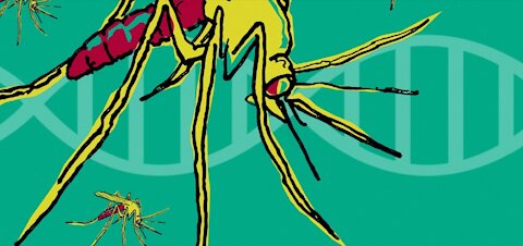 Zika microcephaly - great pandemic