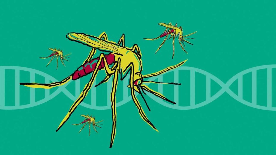 Overturning Zika: A Critical Analysis zika