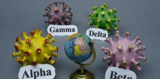Understanding COVID-19 Variants, Vaccination, and Their Impact