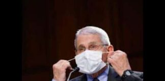 Dr. Fauci Unmasked: Navigating COVID-19 Realities Dr. Fauci Unmasked