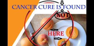 The Impact of Stress on Health and Cancer Cancer treatment