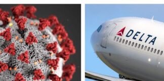 Understanding the Complexities of COVID-19: A Comprehensive Overview