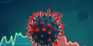 coronavirus conversation: Exploring the Covid response through an allegory to science