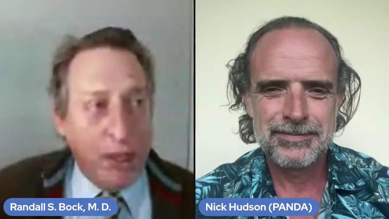 Nick Hudson of Pandata.org interview