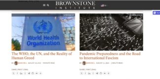 David Bell; Pandemic Preparedness and the Road to International Fascism