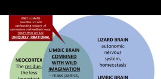 Sanjeev Sabhlok’s Paradox of Progress: Diminished Rationality; Pandemic Panic