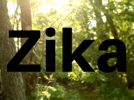 Zika A Trial-Run for a Panic-Pandemic