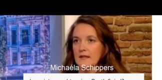 Is Society Caught Up in a Death Spiral? An Analysis of Michaéla Schippers’ Perspective