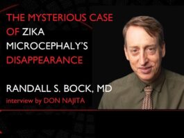 Zika Microcephaly: The Pandemic That Vanished Without Explanation Zika microcephaly
