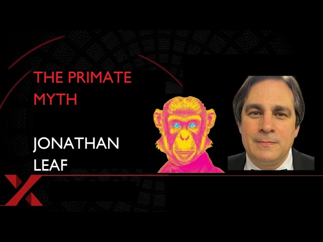 The Primate Myth Shatters the 15% DNA Gap:7 Reasons Humans Are Not Like Chimps The Primate Myth